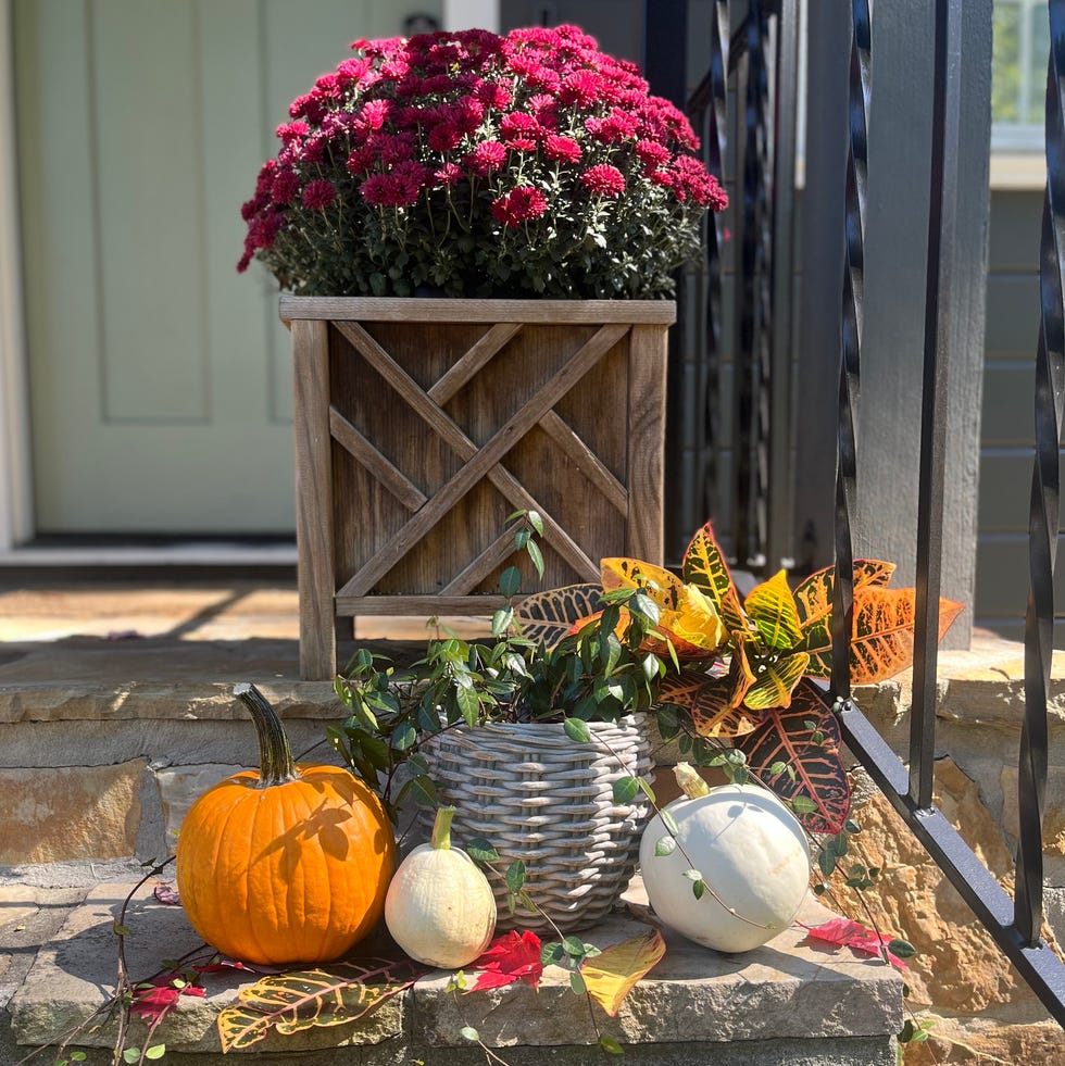 a porch scene featuring pumpkins