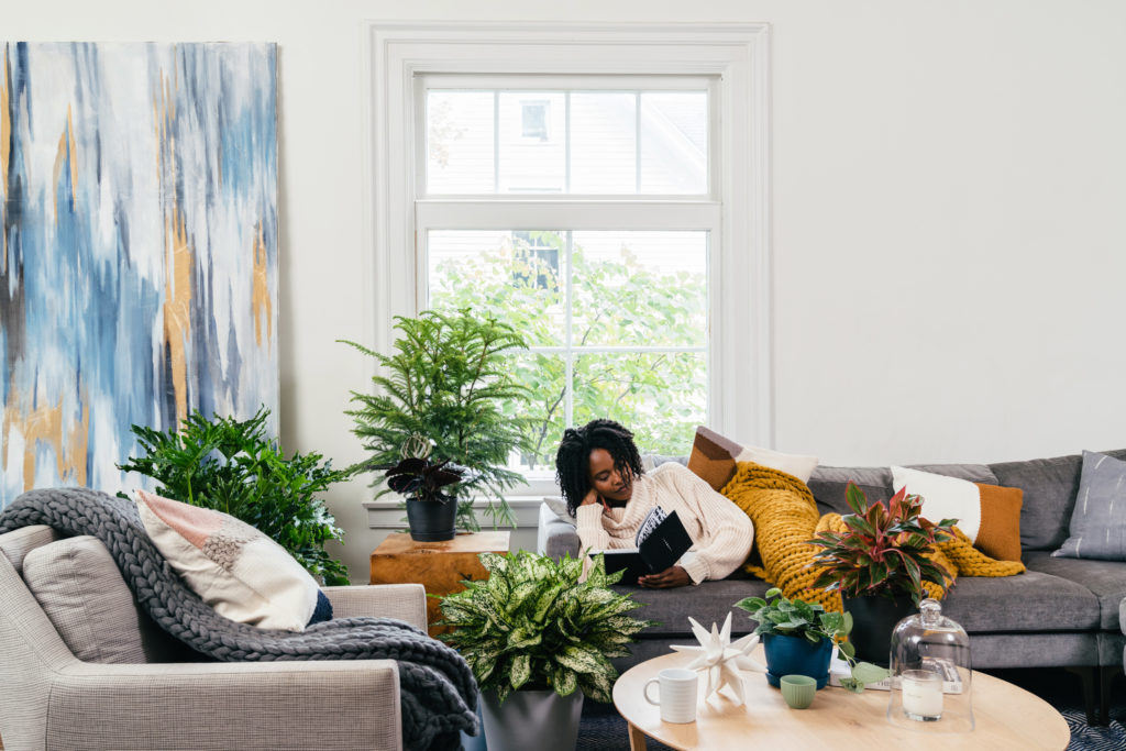 4 Methods That Houseplants Can Assist Combat Winter Blues