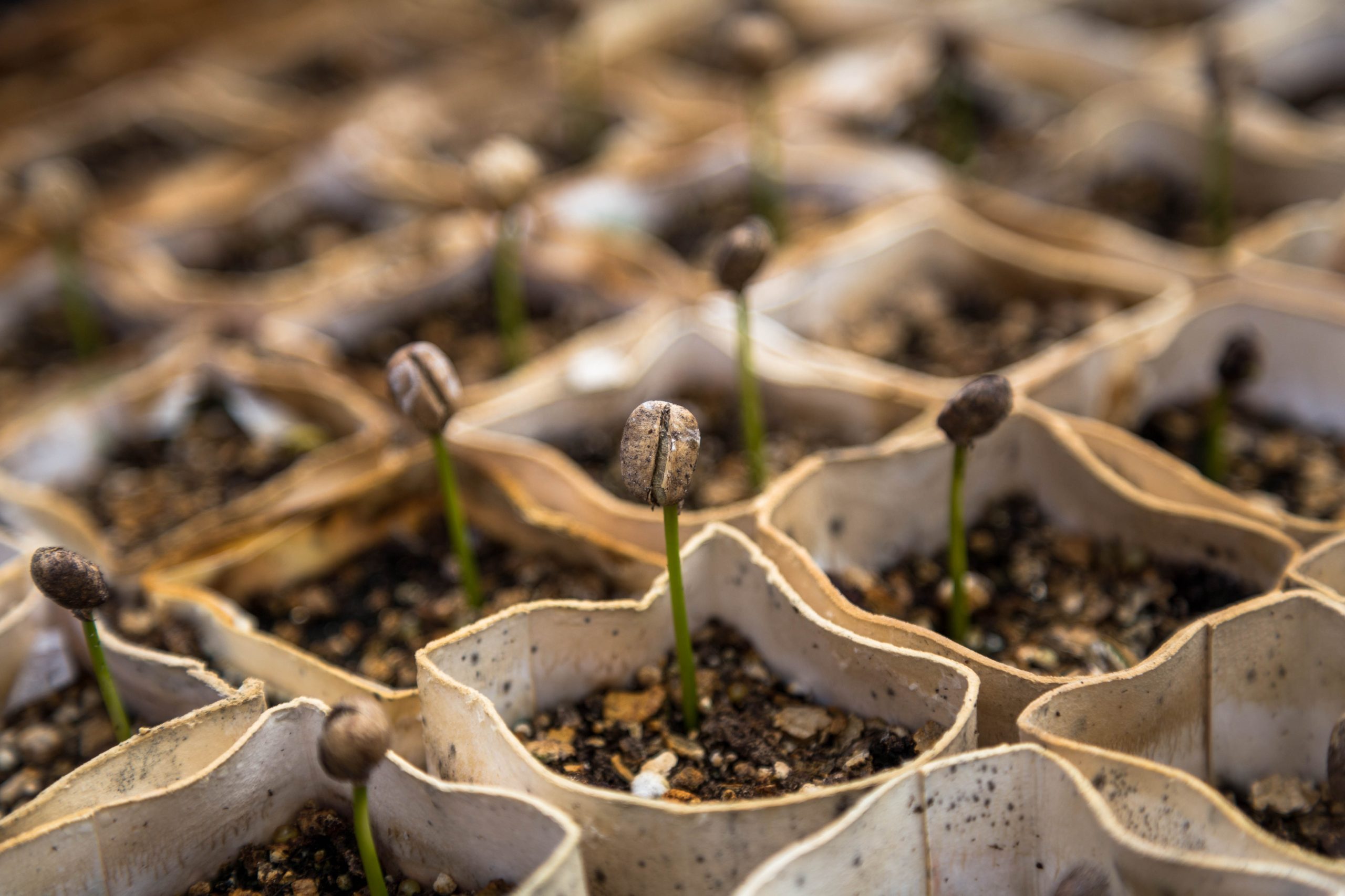 Top-of-the-line methods to Wake Your Yard from Its Extended Winter Nap