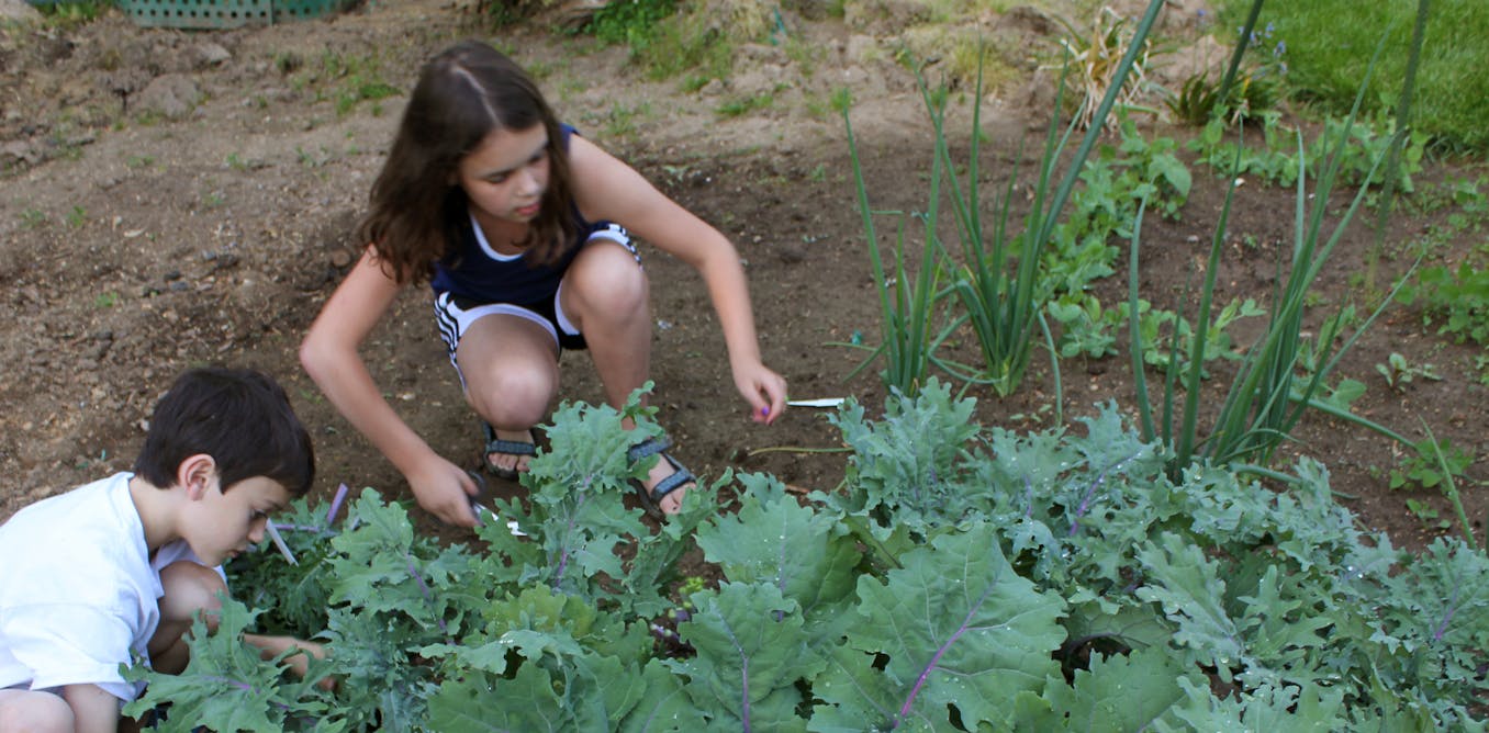 Do youngsters who develop kale eat kale?