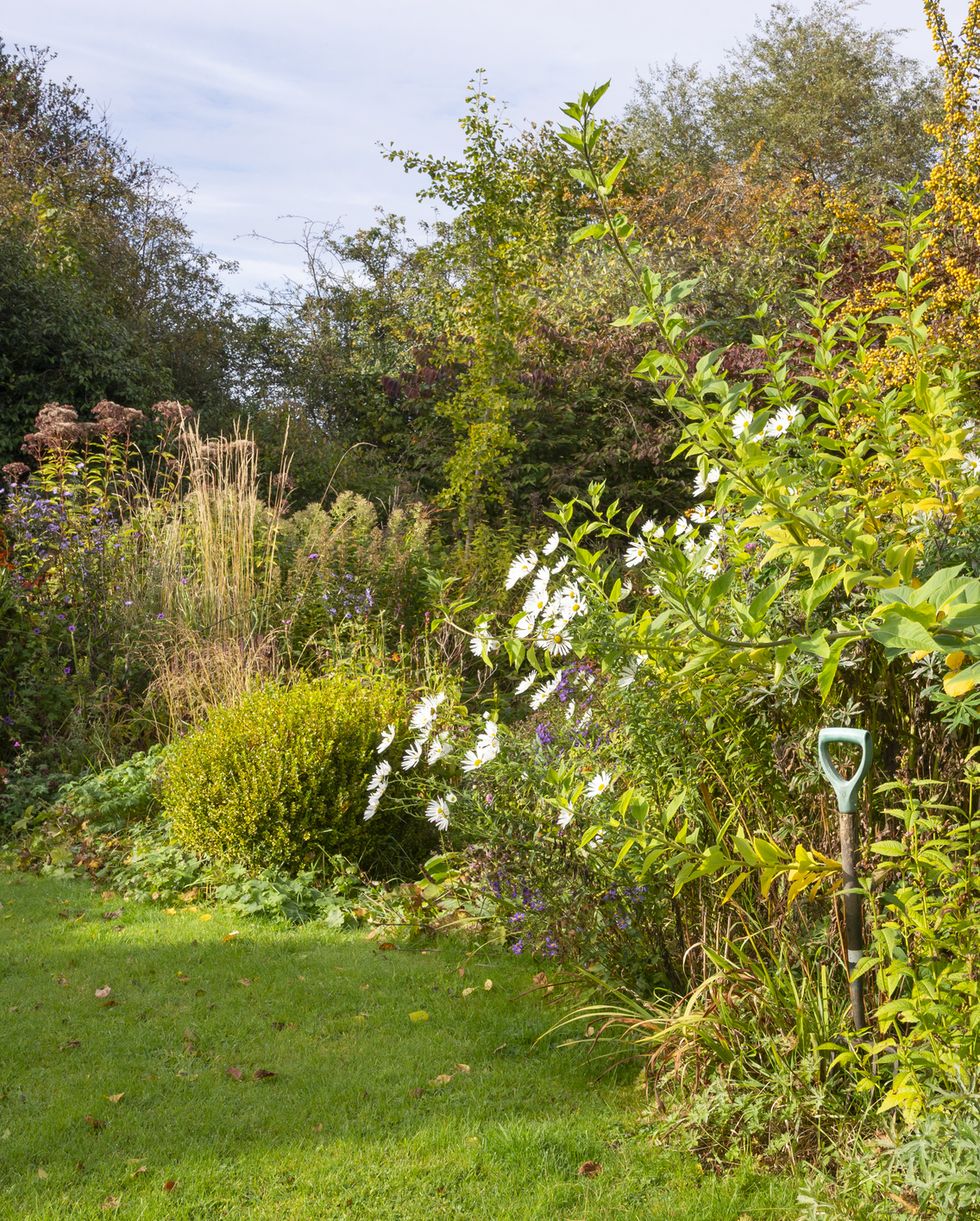 english garden borders in mid autumn