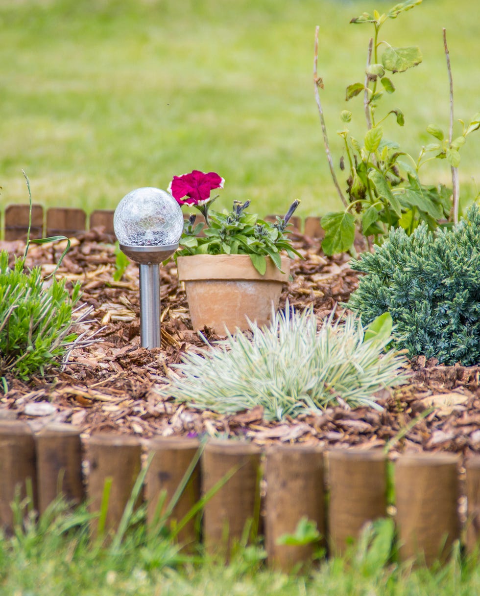 flower bed with flowers and bark mulch in landscape edging ideas