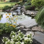 Make a Pond: A Step-by-Step Data