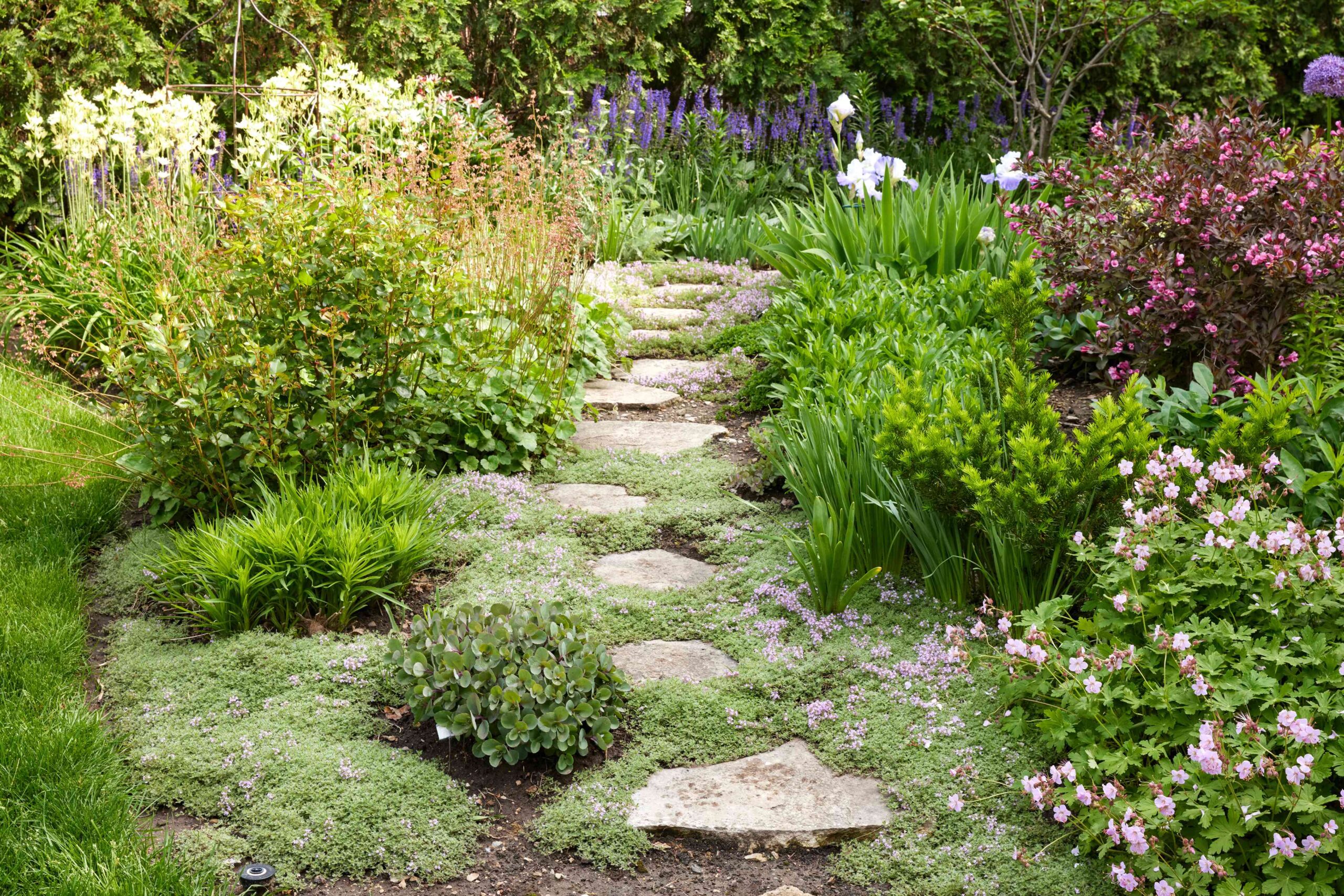 27 Gorgeous Yard Path Ideas for a Attractive Yard