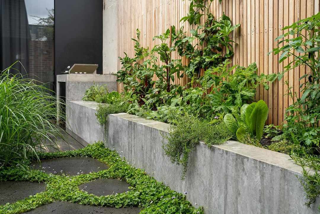 20 Beautiful Yard Wall Ideas to Enhance Your Outdoor Space